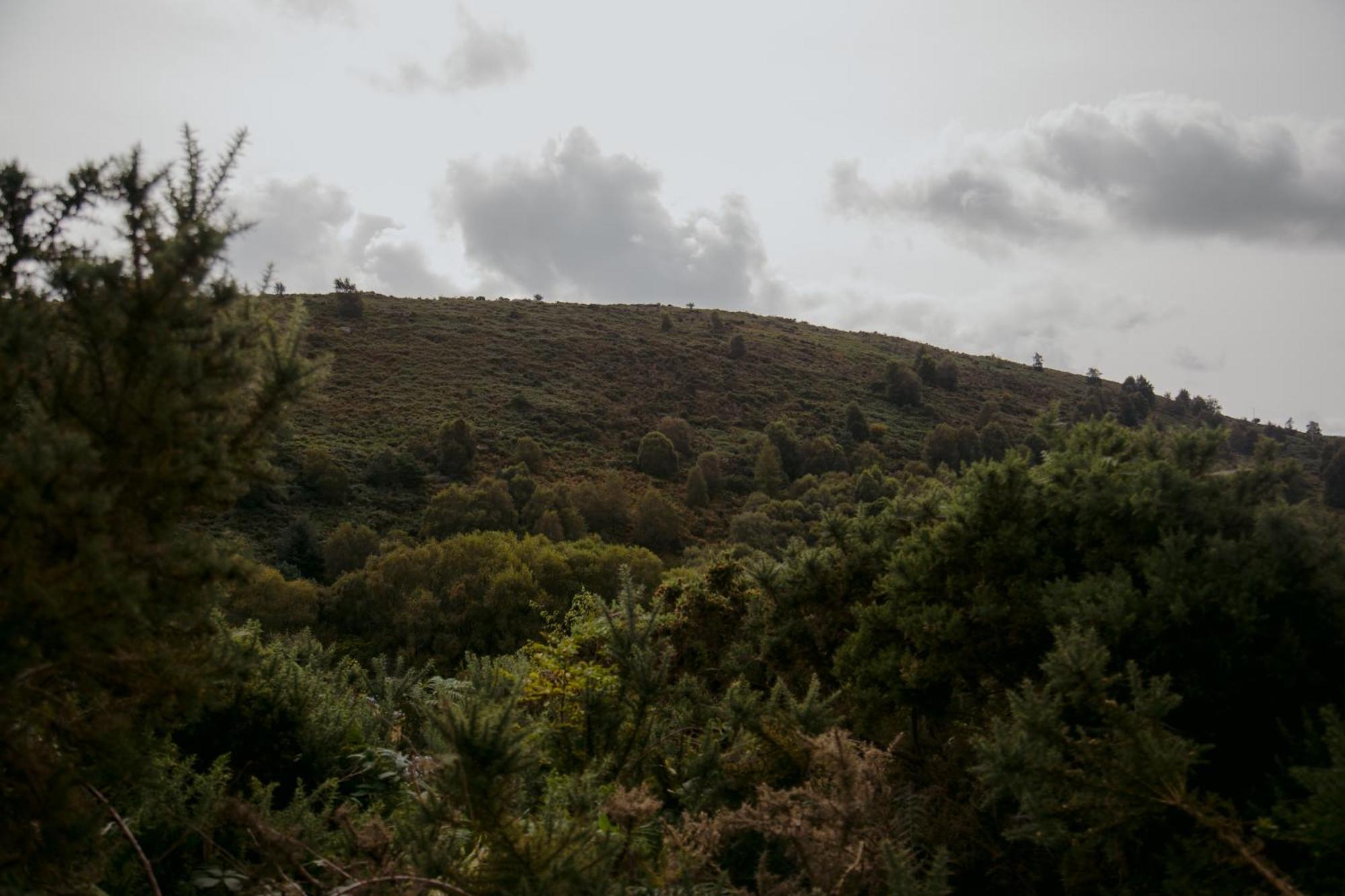 The Deerstone Luxury Eco Hideaway Villa Laragh Kültér fotó