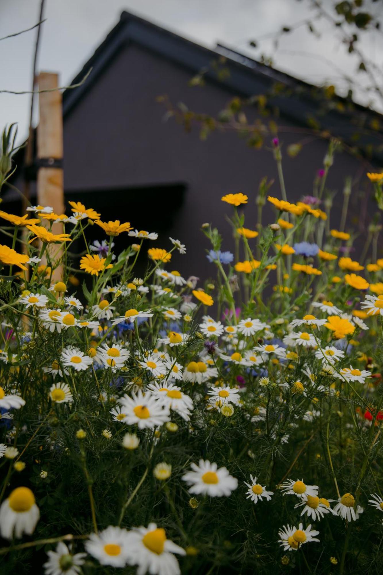 The Deerstone Luxury Eco Hideaway Villa Laragh Kültér fotó