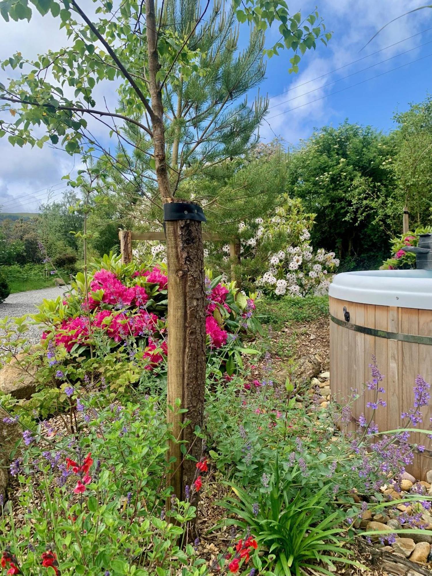 The Deerstone Luxury Eco Hideaway Villa Laragh Kültér fotó