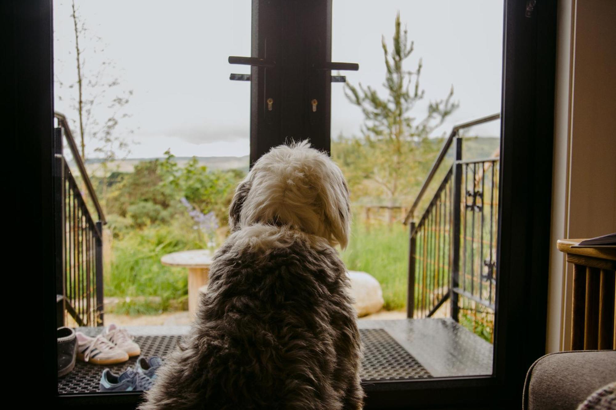 The Deerstone Luxury Eco Hideaway Villa Laragh Kültér fotó